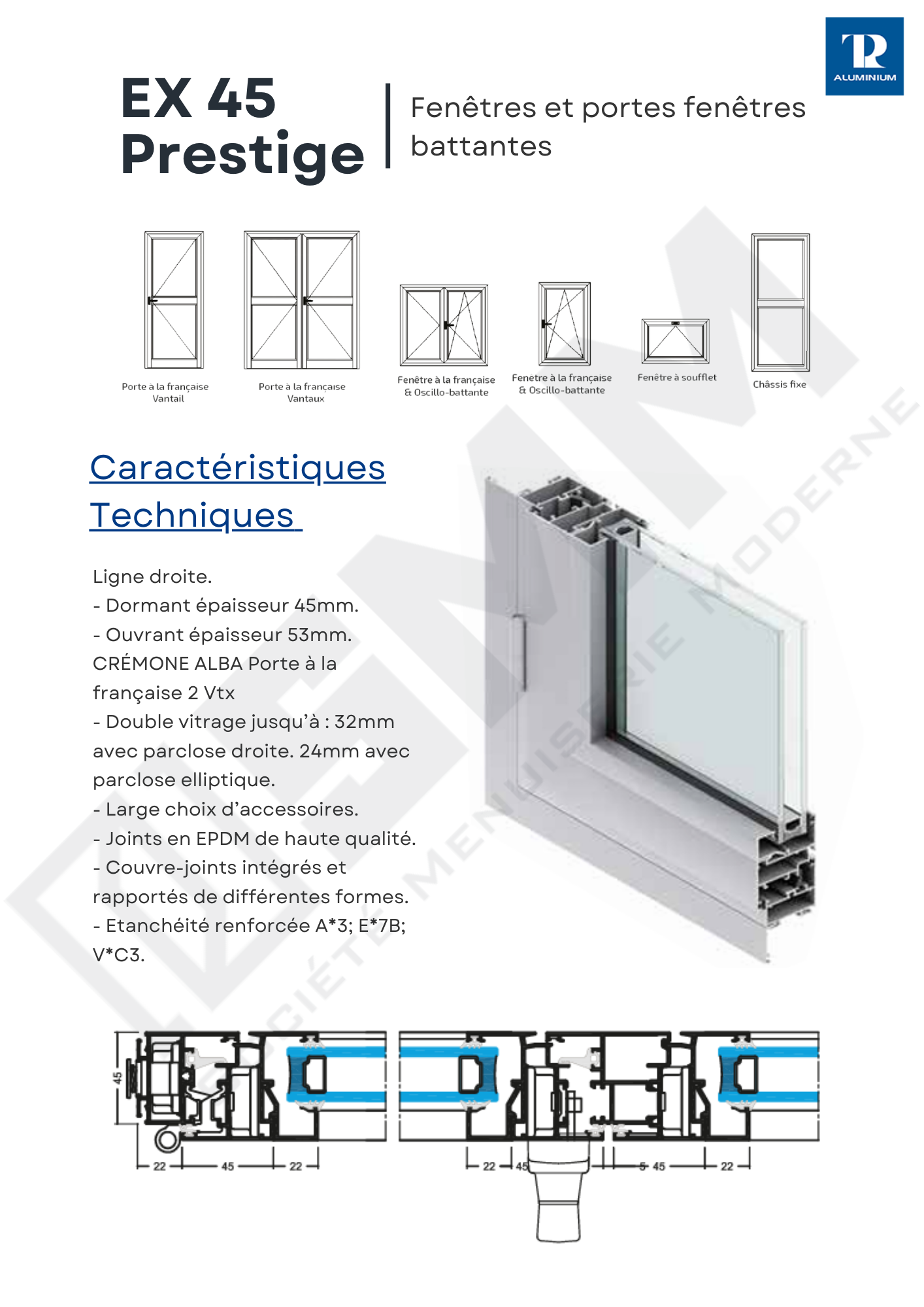 Porte pivotante TW74 confort